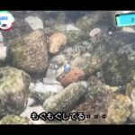 【画像】「逃げないの!?」水中眼鏡でカマツカを確実に仕留める新釣法を考案。釣りよか流“水中潜り釣り”が斬新過ぎる 〜 画像1