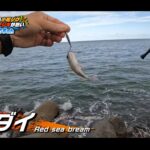 【画像】本当に100均で釣れるの？格安マイクロショアジギング検証、根掛かりを恐れない底取りのコツ 〜 画像1