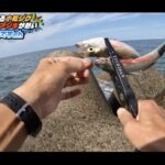 【画像】本当に100均で釣れるの？格安マイクロショアジギング検証、根掛かりを恐れない底取りのコツ 〜 画像1