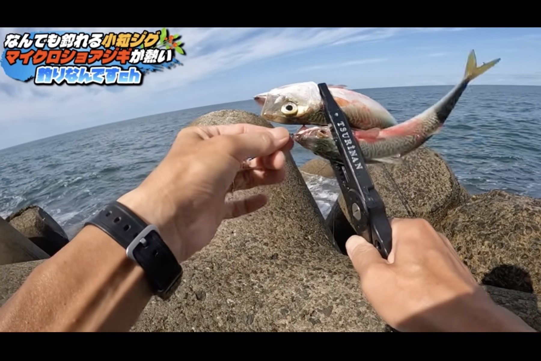 100均のマイクロジグでサバを同時に2匹ゲット