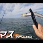 【画像】本当に100均で釣れるの？格安マイクロショアジギング検証、根掛かりを恐れない底取りのコツ 〜 画像1