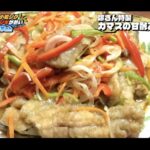 【画像】本当に100均で釣れるの？格安マイクロショアジギング検証、根掛かりを恐れない底取りのコツ 〜 画像1