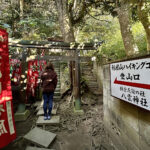【画像】鎌倉・八雲神社から祇園山へ、標高60mのミニハイクで富士山を拝む 〜 画像1