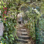【画像】鎌倉・八雲神社から祇園山へ、標高60mのミニハイクで富士山を拝む 〜 画像1