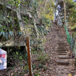 【画像】鎌倉・八雲神社から祇園山へ、標高60mのミニハイクで富士山を拝む 〜 画像1