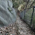 【画像】鎌倉・八雲神社から祇園山へ、標高60mのミニハイクで富士山を拝む 〜 画像1