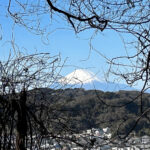 【画像】鎌倉・八雲神社から祇園山へ、標高60mのミニハイクで富士山を拝む 〜 画像1