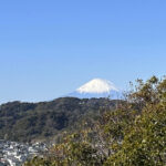 【画像】鎌倉・八雲神社から祇園山へ、標高60mのミニハイクで富士山を拝む 〜 画像1