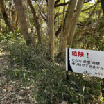 【画像】鎌倉・八雲神社から祇園山へ、標高60mのミニハイクで富士山を拝む 〜 画像1