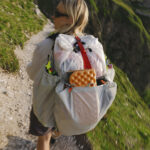 【画像】軽さと背負い心地が両立！　30年の術を凝縮した老舗リュック「アラカザム／カザム」 〜 画像1