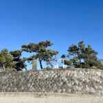 【画像】3列シートの「ルノー グランカングー」で葉山へ　観音開きドアを「特等席」に変える、海辺の大人な「チェアリング」が至福すぎた 〜 画像1