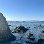 【画像】3列シートの「ルノー グランカングー」で葉山へ　観音開きドアを「特等席」に変える、海辺の大人な「チェアリング」が至福すぎた 〜 画像1