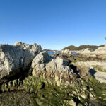 【画像】3列シートの「ルノー グランカングー」で葉山へ　観音開きドアを「特等席」に変える、海辺の大人な「チェアリング」が至福すぎた 〜 画像1