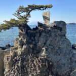 【画像】3列シートの「ルノー グランカングー」で葉山へ　観音開きドアを「特等席」に変える、海辺の大人な「チェアリング」が至福すぎた 〜 画像1