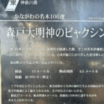 【画像】3列シートの「ルノー グランカングー」で葉山へ　観音開きドアを「特等席」に変える、海辺の大人な「チェアリング」が至福すぎた 〜 画像1
