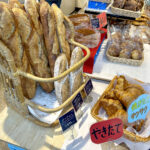 【画像】3列シートの「ルノー グランカングー」で葉山へ　観音開きドアを「特等席」に変える、海辺の大人な「チェアリング」が至福すぎた 〜 画像1