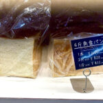 【画像】3列シートの「ルノー グランカングー」で葉山へ　観音開きドアを「特等席」に変える、海辺の大人な「チェアリング」が至福すぎた 〜 画像1