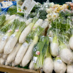 【画像】3列シートの「ルノー グランカングー」で葉山へ　観音開きドアを「特等席」に変える、海辺の大人な「チェアリング」が至福すぎた 〜 画像1