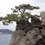 【画像】3列シートの「ルノー グランカングー」で葉山へ　観音開きドアを「特等席」に変える、海辺の大人な「チェアリング」が至福すぎた 〜 画像1