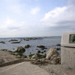 【画像】3列シートの「ルノー グランカングー」で葉山へ　観音開きドアを「特等席」に変える、海辺の大人な「チェアリング」が至福すぎた 〜 画像1