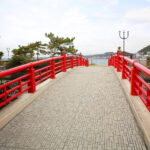 【画像】3列シートの「ルノー グランカングー」で葉山へ　観音開きドアを「特等席」に変える、海辺の大人な「チェアリング」が至福すぎた 〜 画像1