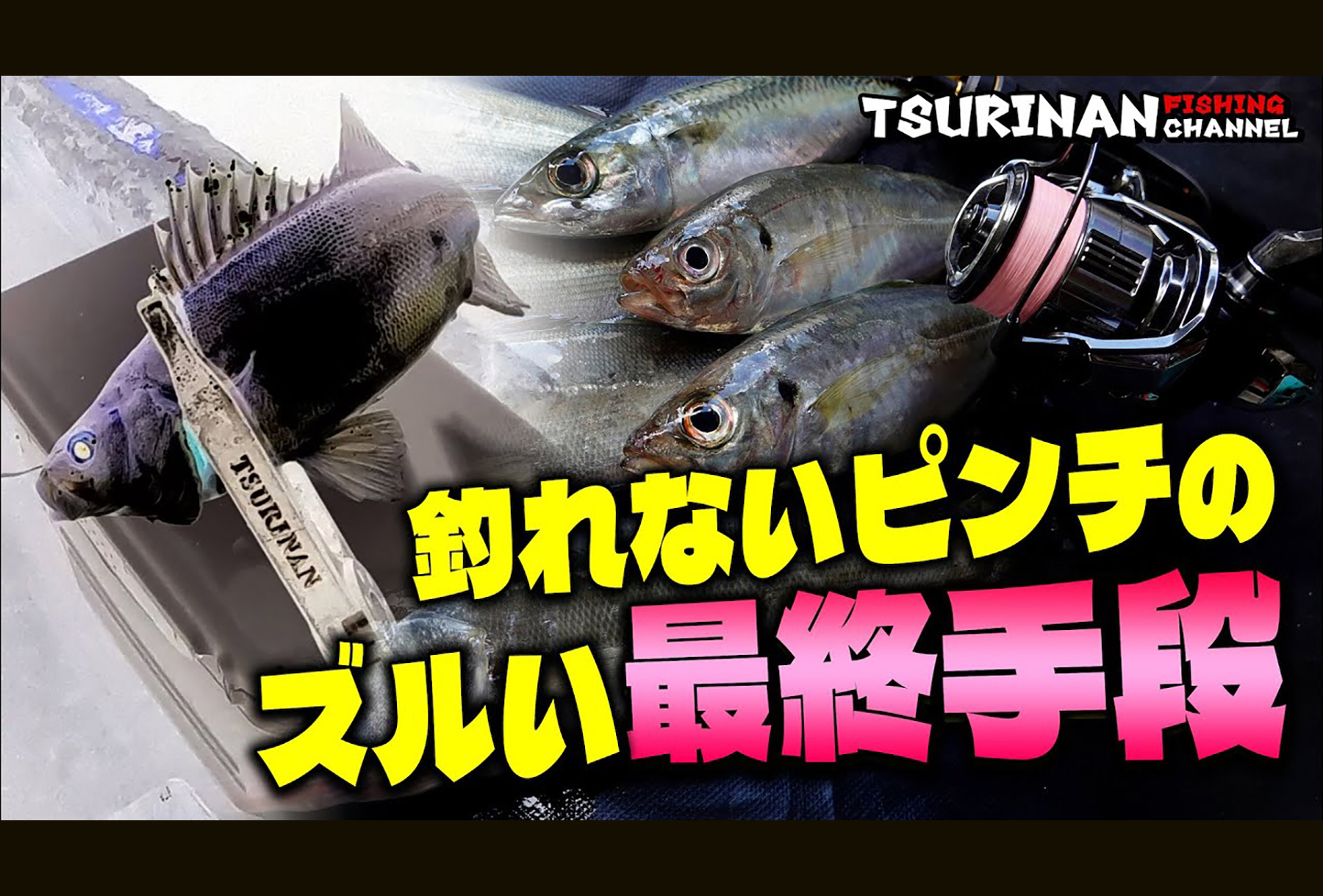 釣れない夜の逆転術！　活きエサ1本で魚種無制限