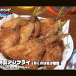 【画像】釣れない夜の逆転術！　活きエサ1本で魚種無制限 〜 画像1