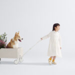 【画像】「公園で浮きたくない問題」を解決！　フレームを隠した「脱アウトドア系」新作ワゴン誕生 〜 画像1