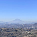 【画像】「相模湾は巨大な穴!?」　ルノー限定車で巡る「深海の謎」絶景と旬を味わう休日 〜 画像1