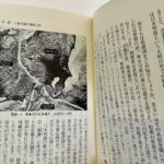 【画像】「相模湾は巨大な穴!?」　ルノー限定車で巡る「深海の謎」絶景と旬を味わう休日 〜 画像1