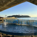 【画像】「相模湾は巨大な穴!?」　ルノー限定車で巡る「深海の謎」絶景と旬を味わう休日 〜 画像1