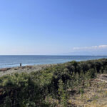 【画像】「相模湾は巨大な穴!?」　ルノー限定車で巡る「深海の謎」絶景と旬を味わう休日 〜 画像1