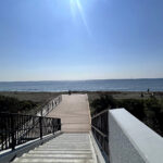 【画像】「相模湾は巨大な穴!?」　ルノー限定車で巡る「深海の謎」絶景と旬を味わう休日 〜 画像1