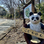 【画像】「相模湾は巨大な穴!?」　ルノー限定車で巡る「深海の謎」絶景と旬を味わう休日 〜 画像1