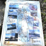 【画像】「相模湾は巨大な穴!?」　ルノー限定車で巡る「深海の謎」絶景と旬を味わう休日 〜 画像1