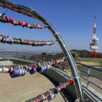 【画像】「相模湾は巨大な穴!?」　ルノー限定車で巡る「深海の謎」絶景と旬を味わう休日 〜 画像1