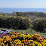 【画像】「相模湾は巨大な穴!?」　ルノー限定車で巡る「深海の謎」絶景と旬を味わう休日 〜 画像1