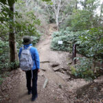 【画像】「相模湾は巨大な穴!?」　ルノー限定車で巡る「深海の謎」絶景と旬を味わう休日 〜 画像1