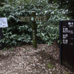 【画像】「相模湾は巨大な穴!?」　ルノー限定車で巡る「深海の謎」絶景と旬を味わう休日 〜 画像1