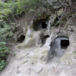 【画像】「相模湾は巨大な穴!?」　ルノー限定車で巡る「深海の謎」絶景と旬を味わう休日 〜 画像1