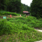 【画像】「恋の病以外は治る」という伝説もある！　「日本三大薬泉」の驚くべき実力とは 〜 画像1