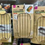 【画像】「鍛造ペグ」が100円の時代！　春のダイソーで見つけたキャンプギアおすすめ7選 〜 画像1