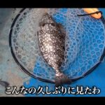 【画像】腰が逝っても釣りたい！あんこうアワーズ誕生日の奇跡。巨大ヒラメの驚きの買取価格は？ 〜 画像1