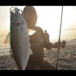 【画像】信じられない…サーフで40センチ超の巨大アジが！静岡・駿河湾で起きた「お祭り」の全貌 〜 画像1