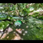 【画像】徒歩10秒で川！『たつおと海子』が送るDIY軽トラで巡る群馬・避暑の旅 〜 画像1