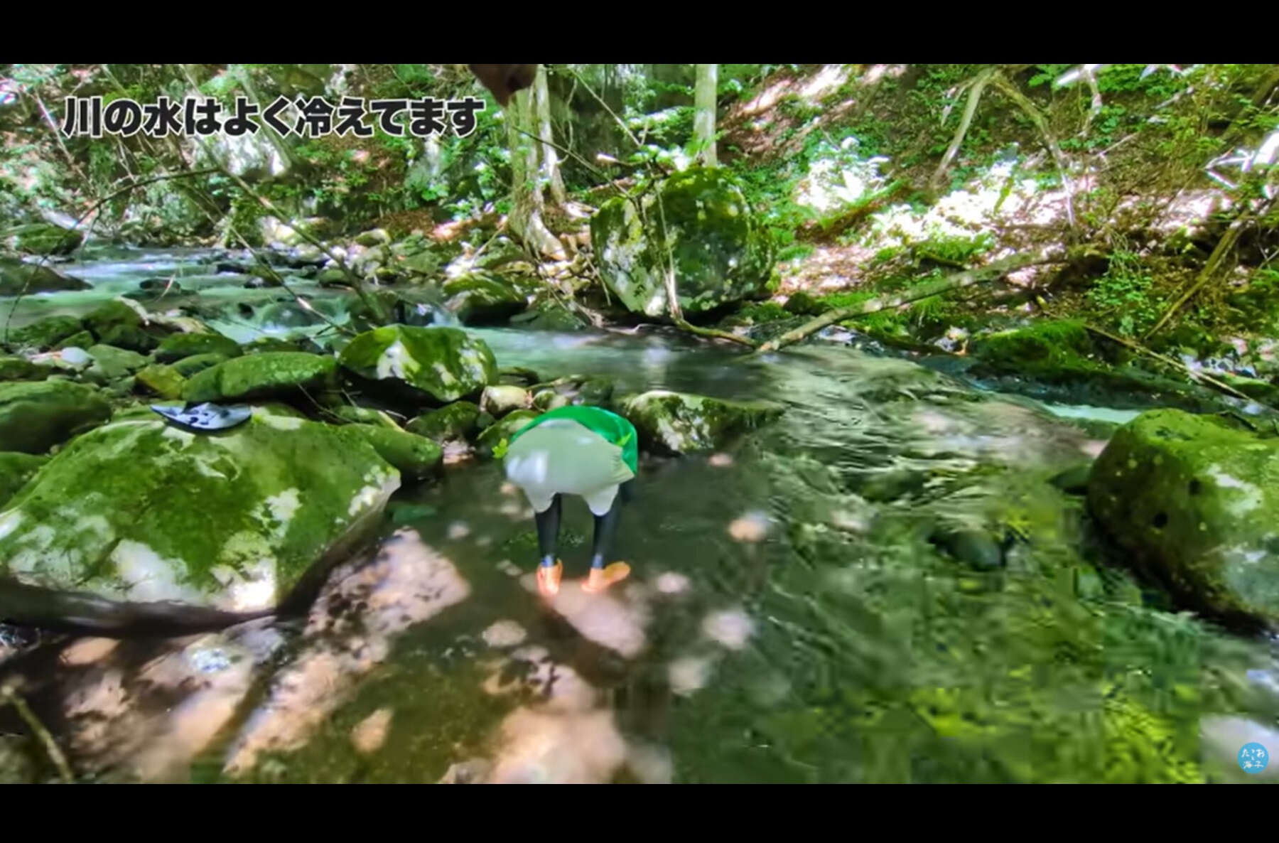 Youtubeちゃんねる『たつおと海子 Tatsuo&Umiko』が立ち寄った群馬県北東部の川辺