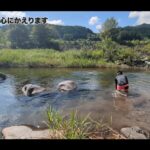 【画像】徒歩10秒で川！『たつおと海子』が送るDIY軽トラで巡る群馬・避暑の旅 〜 画像1