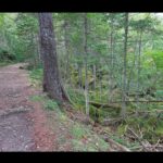 【画像】世界で唯一「マンガンが生成される滝」とは？ 1000円車中泊で道東・阿寒湖を巡る秘境旅 〜 画像1