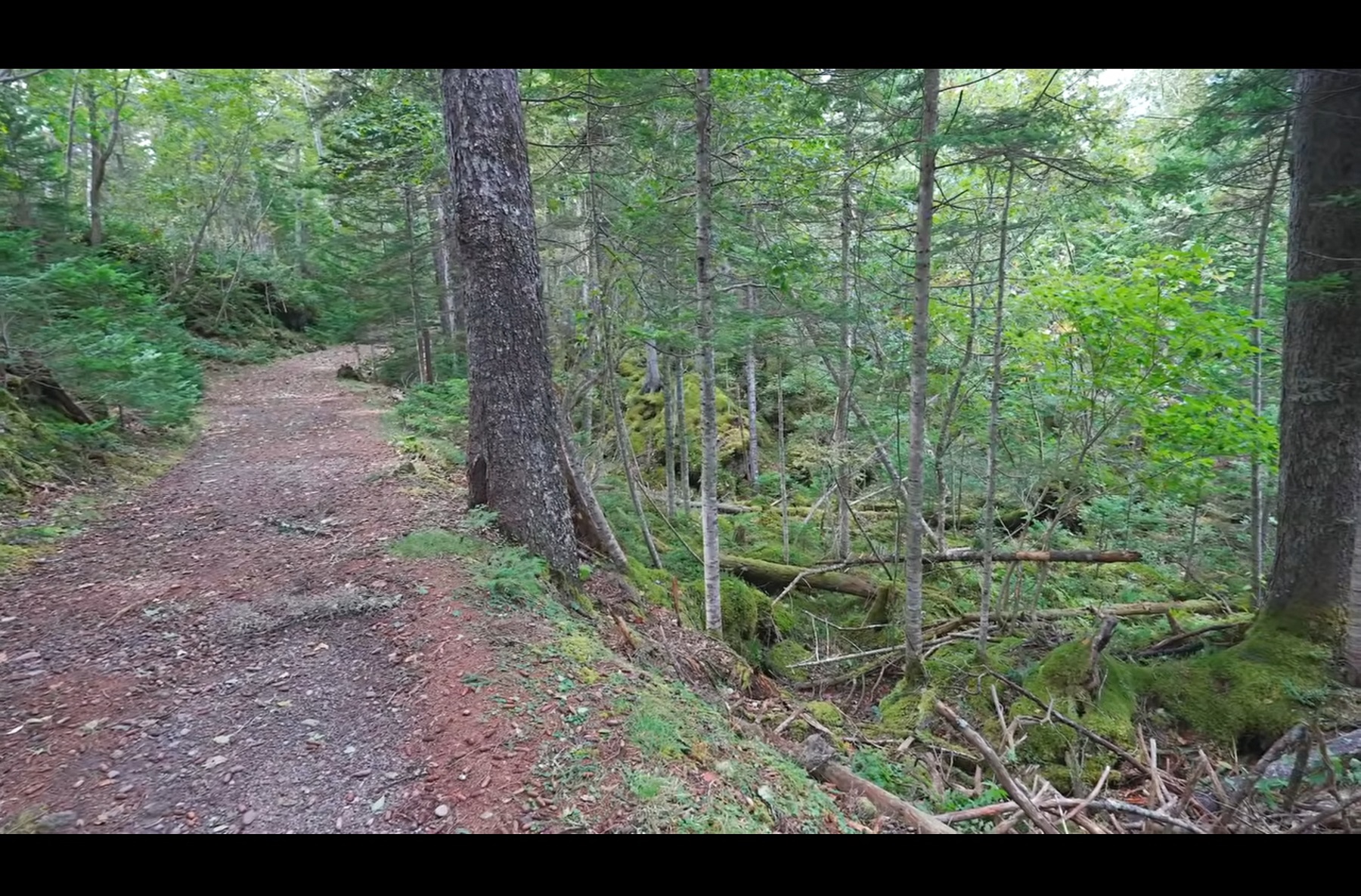 オンネトー湯の滝に続く山道の様子