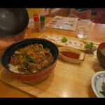 【画像】世界で唯一「マンガンが生成される滝」とは？ 1000円車中泊で道東・阿寒湖を巡る秘境旅 〜 画像1